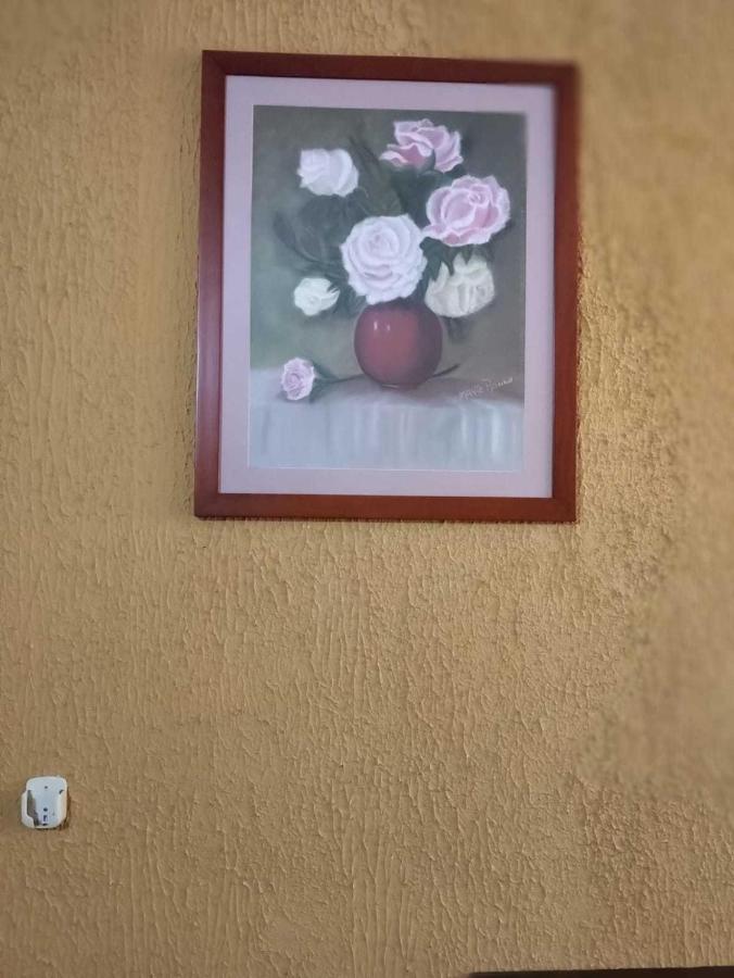 Hotel Premier Rioverde Río Verde 外观 照片